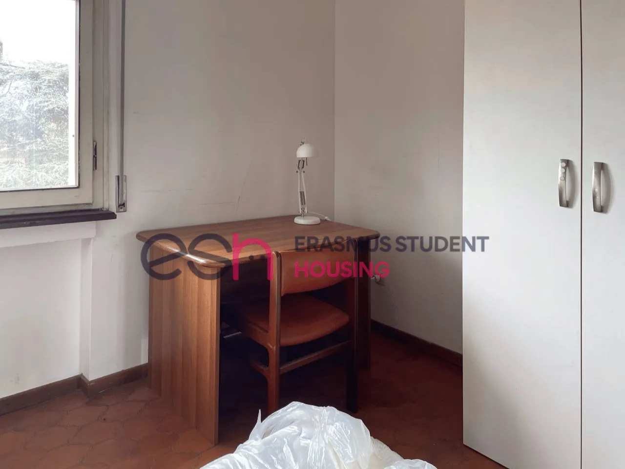 Habitación privada en Pisa